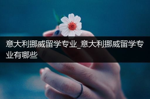 意大利挪威留学专业_意大利挪威留学专业有哪些