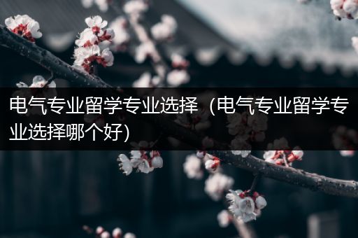 电气专业留学专业选择（电气专业留学专业选择哪个好）