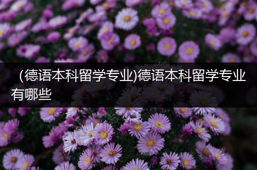 （德语本科留学专业)德语本科留学专业有哪些