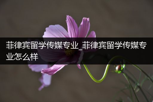 菲律宾留学传媒专业_菲律宾留学传媒专业怎么样