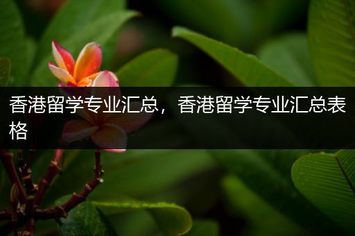 香港留学专业汇总，香港留学专业汇总表格