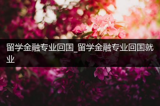 留学金融专业回国_留学金融专业回国就业