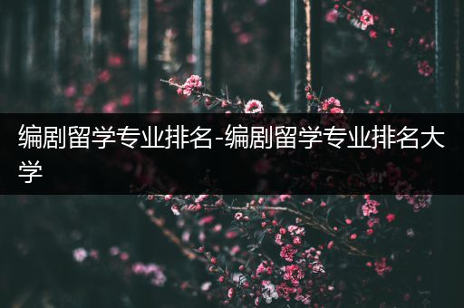 编剧留学专业排名-编剧留学专业排名大学