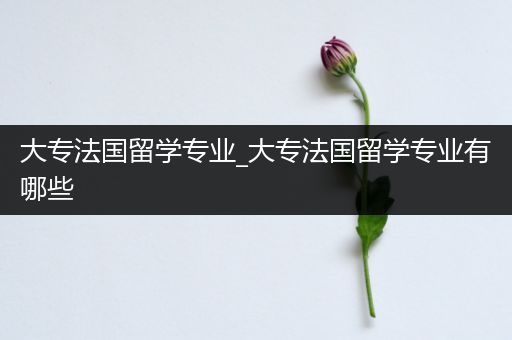 大专法国留学专业_大专法国留学专业有哪些