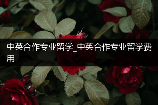 中英合作专业留学_中英合作专业留学费用