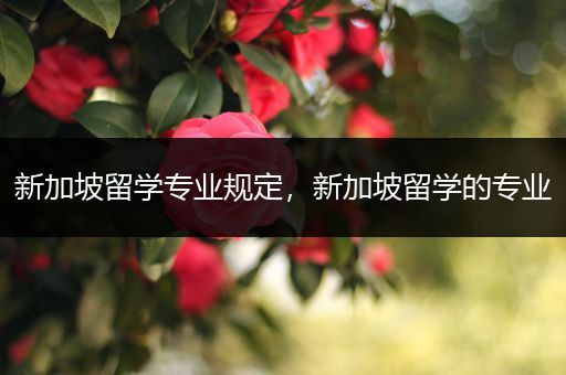 新加坡留学专业规定，新加坡留学的专业