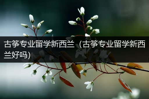 古筝专业留学新西兰（古筝专业留学新西兰好吗）