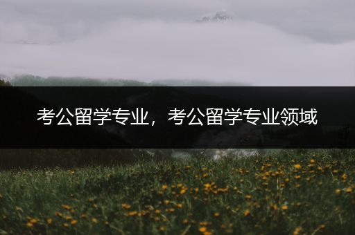 考公留学专业，考公留学专业领域