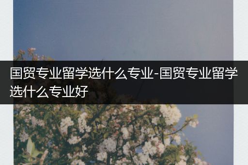 国贸专业留学选什么专业-国贸专业留学选什么专业好