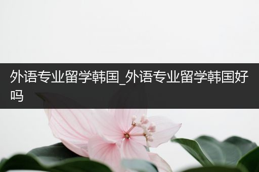 外语专业留学韩国_外语专业留学韩国好吗