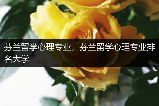 芬兰留学心理专业，芬兰留学心理专业排名大学