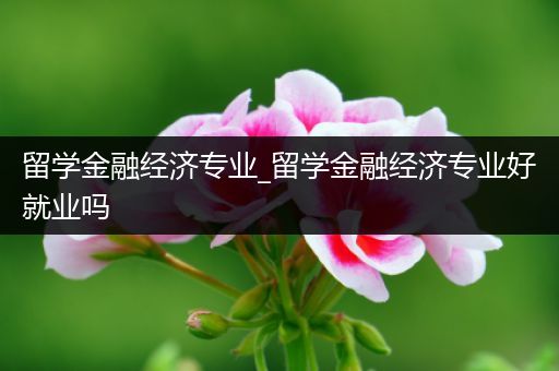 留学金融经济专业_留学金融经济专业好就业吗