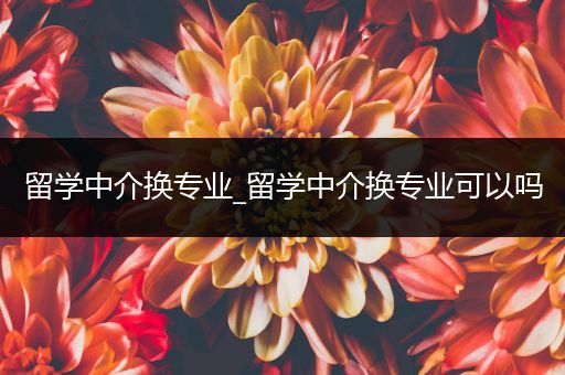 留学中介换专业_留学中介换专业可以吗