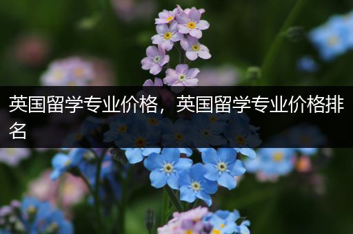 英国留学专业价格，英国留学专业价格排名