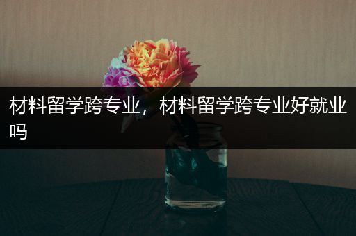 材料留学跨专业，材料留学跨专业好就业吗