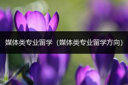 媒体类专业留学（媒体类专业留学方向）