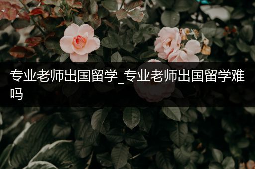 专业老师出国留学_专业老师出国留学难吗