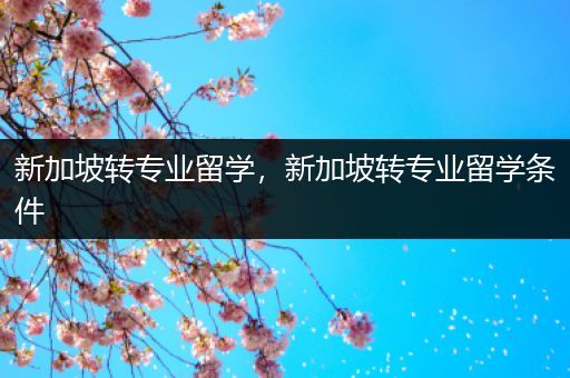 新加坡转专业留学，新加坡转专业留学条件