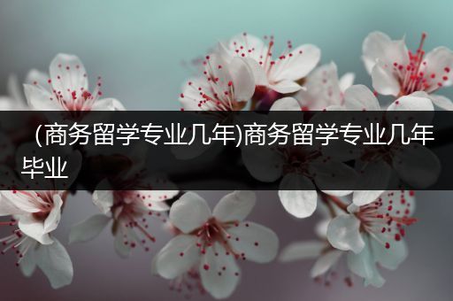 （商务留学专业几年)商务留学专业几年毕业