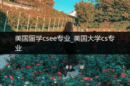 美国留学csee专业_美国大学cs专业