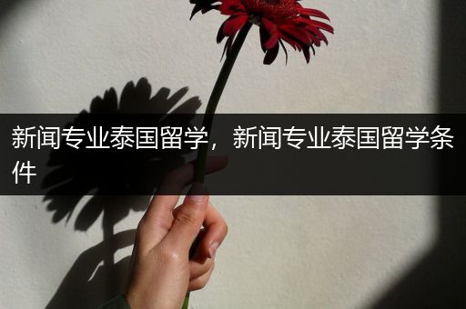 新闻专业泰国留学，新闻专业泰国留学条件