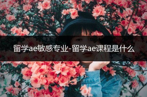 留学ae敏感专业-留学ae课程是什么