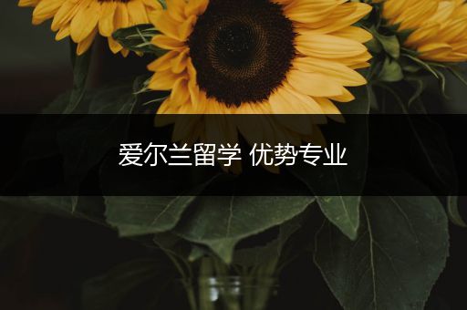 爱尔兰留学 优势专业