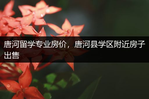 唐河留学专业房价，唐河县学区附近房子出售