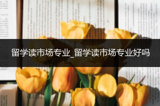 留学读市场专业_留学读市场专业好吗