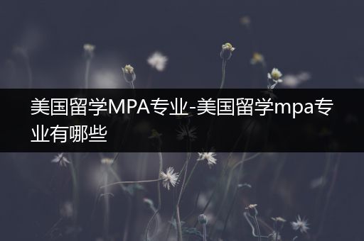 美国留学MPA专业-美国留学mpa专业有哪些