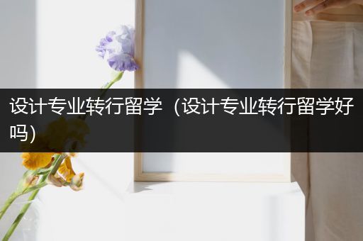 设计专业转行留学（设计专业转行留学好吗）