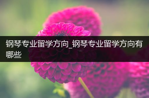 钢琴专业留学方向_钢琴专业留学方向有哪些