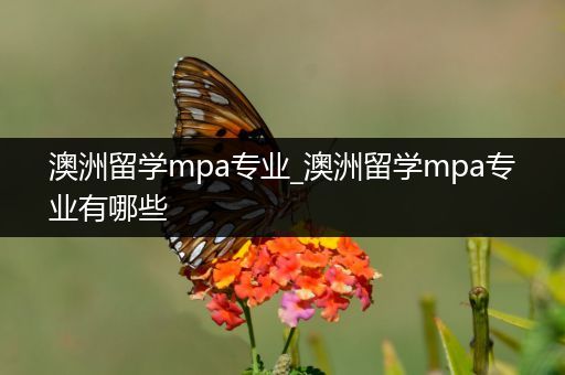 澳洲留学mpa专业_澳洲留学mpa专业有哪些