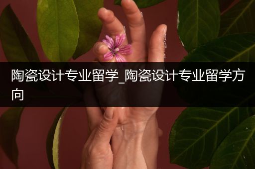 陶瓷设计专业留学_陶瓷设计专业留学方向