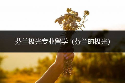 芬兰极光专业留学（芬兰的极光）