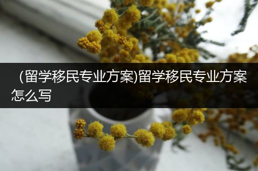 （留学移民专业方案)留学移民专业方案怎么写