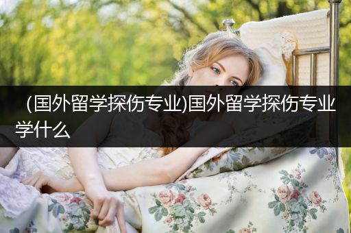 （国外留学探伤专业)国外留学探伤专业学什么