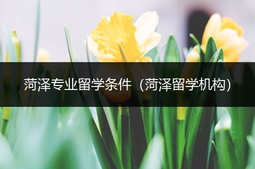 菏泽专业留学条件（菏泽留学机构）