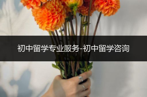 初中留学专业服务-初中留学咨询