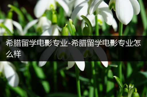 希腊留学电影专业-希腊留学电影专业怎么样