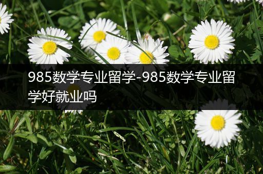 985数学专业留学-985数学专业留学好就业吗