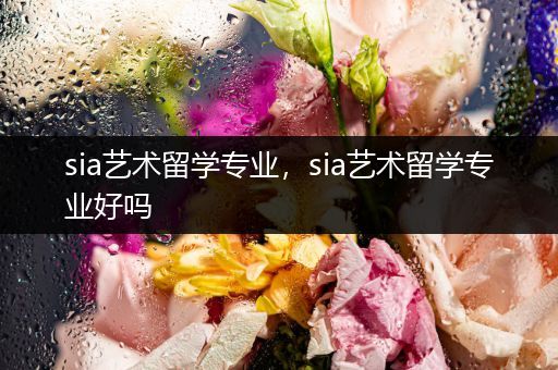 sia艺术留学专业，sia艺术留学专业好吗