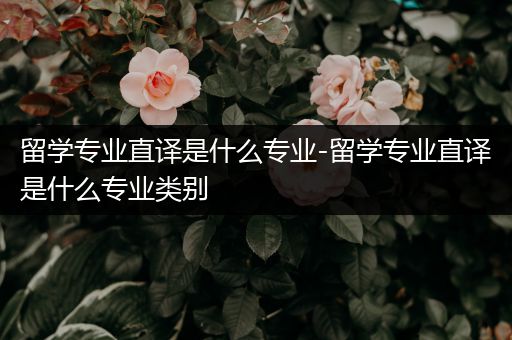 留学专业直译是什么专业-留学专业直译是什么专业类别