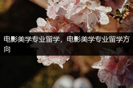 电影美学专业留学，电影美学专业留学方向