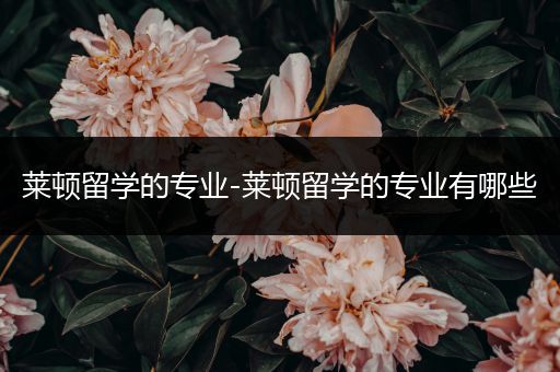 莱顿留学的专业-莱顿留学的专业有哪些