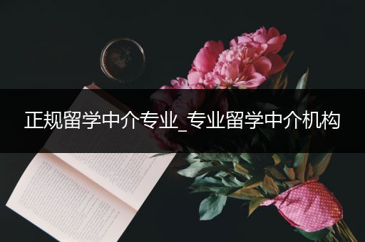 正规留学中介专业_专业留学中介机构