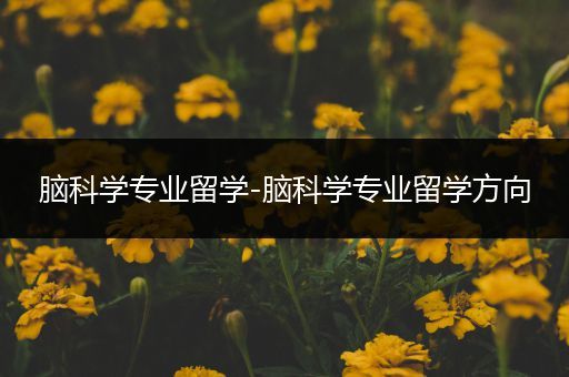 脑科学专业留学-脑科学专业留学方向