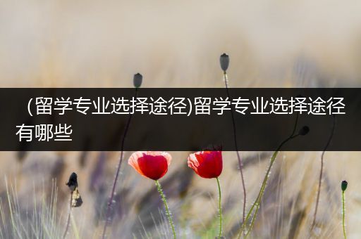 （留学专业选择途径)留学专业选择途径有哪些