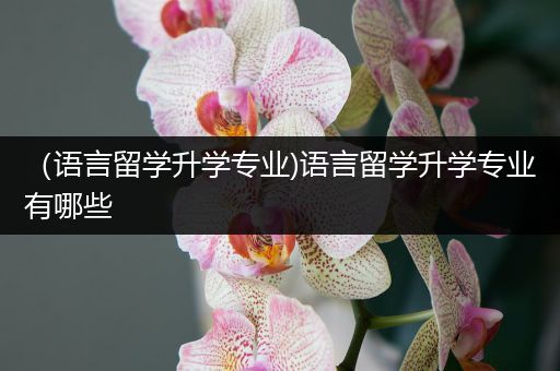 （语言留学升学专业)语言留学升学专业有哪些