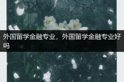 外国留学金融专业，外国留学金融专业好吗